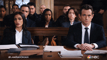 Season 21 Reaction GIF by Law & Order