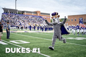 Football Dukes GIF by James Madison University
