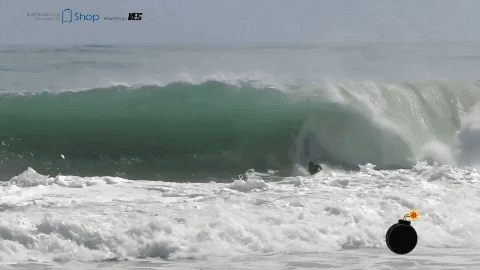 Sydney surfers brave monster waves as huge swell batters coastline