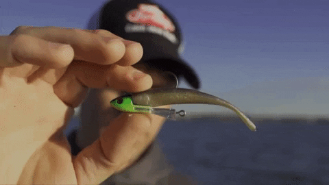 Catch More Fish GIF - Find & Share on GIPHY