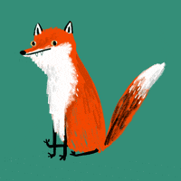 fox foxes GIF by Sophie Corrigan