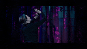 Stage Rebecca GIF by Musical Vienna