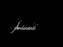 FerdinandConcept ferdinand totallook ferdinandconcept ferdinandtotallook GIF