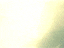 Rock N Roll GIF by Rob Zombie