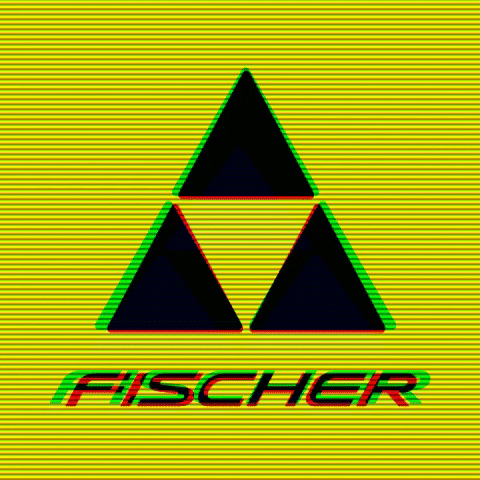 Fischer Skis GIF