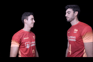 High Five Volleyball GIF by RedLynxes