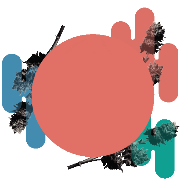 Liftandco Liftcoexpo Sticker by Lift & Co.