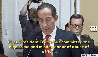 news impeachment jamie raskin articles of impeachment house rules committee GIF