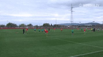 Training Mallorca GIF by SV Werder Bremen