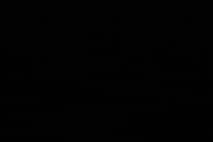 Congratulations GIF