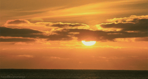 Great Migrations Ocean GIF by Head Like an Orange - Find & Share on GIPHY