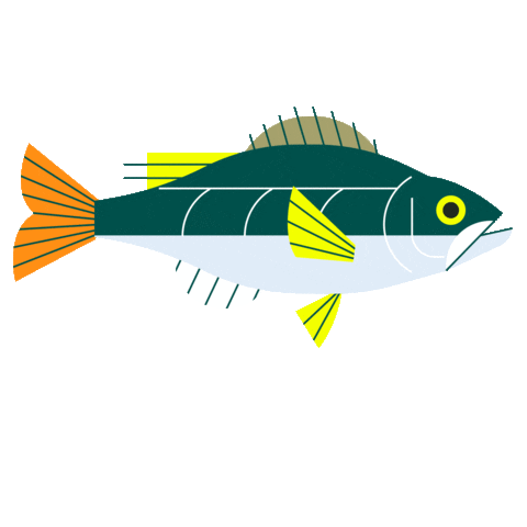 Ocean Fish Sticker by Take Me Fishing