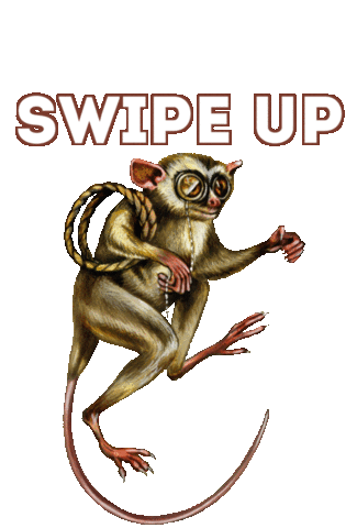 Chin Chin Drinking Sticker by Don Papa Rum