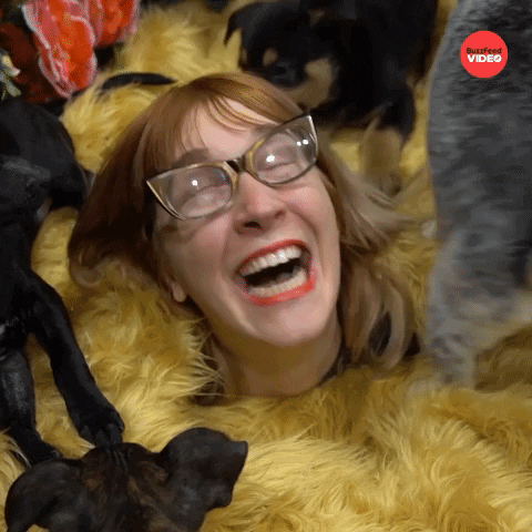 Best Day Ever Fun GIF by BuzzFeed