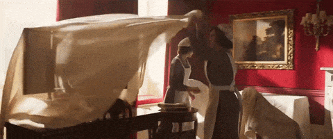 Focus Features Movie GIF by Downton Abbey