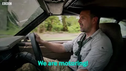 Cars Driving GIF