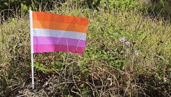 Pride Lgbt GIF by AceArchive