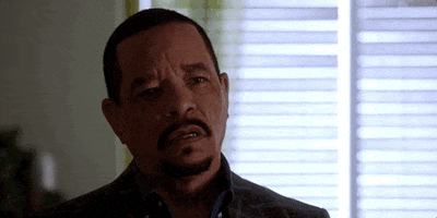 Law And Order Yes GIF by Wolf Entertainment