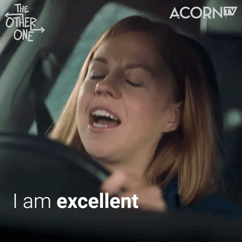 GIF of a woman behind the driving wheel saying "I'm excellent at organized fun. Well, organising..."