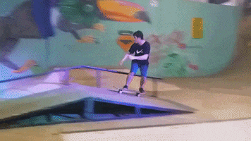 Skate Skateboard GIF by Greenplace TV