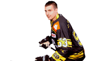 Celebration Alex Sticker by Krefeld Pinguine