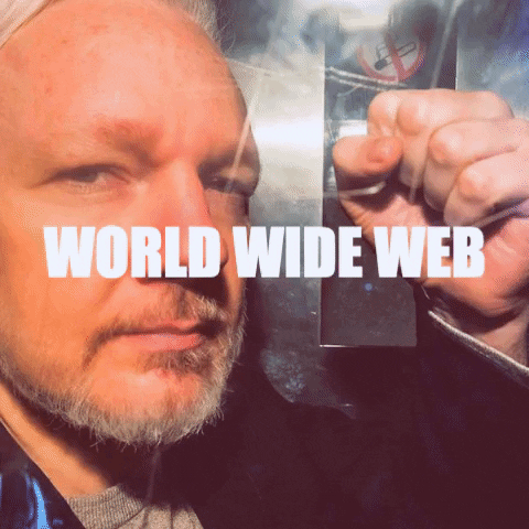 World Tight Web GIFs - Get the best GIF on GIPHY