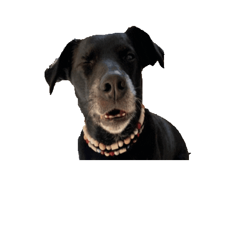 Malamarianne Sticker by dariadaria