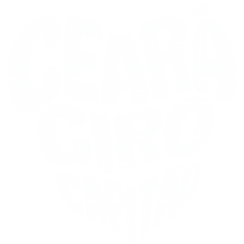 Cirogomes Sticker by Capitão Wagner 445