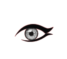 Lashes Sticker by The Lash Room