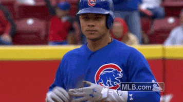 chicago cubs hello GIF by MLB