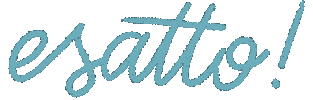 Esatto Sticker