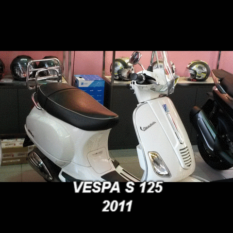 silviabonasegalecamnasio  GIF