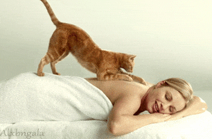 relaxed cat GIF
