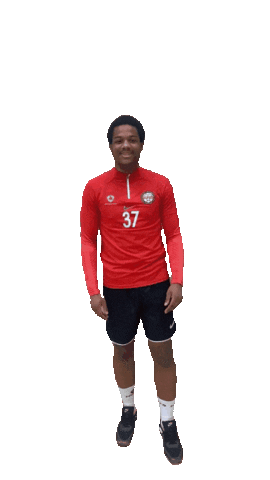 Handball Sticker