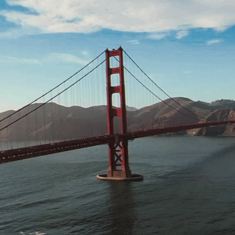 San Francisco Travel GIF by Yevbel