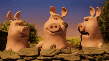 Confused Shaun The Sheep GIF by Aardman Animations