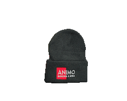 ANIMO BOXING & MMA GYM LTD Sticker