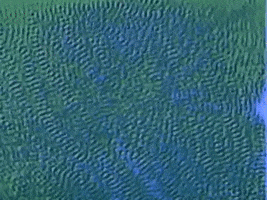 Talking Heads GIF