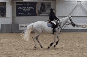 HatkoSports GIF