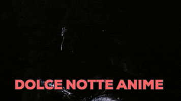 pussy  GIF
