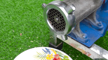 Meat Eggs GIF