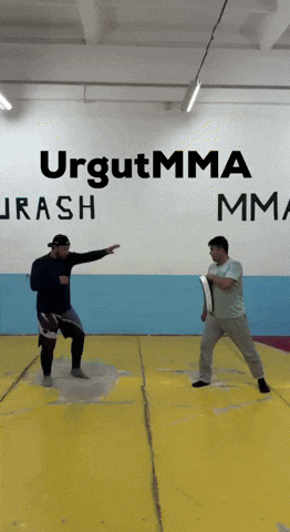 Ufc Mma GIF