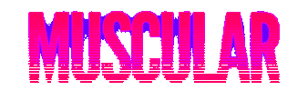 Drink Tonight Sticker