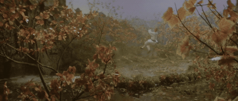The Shaolin Temple GIF