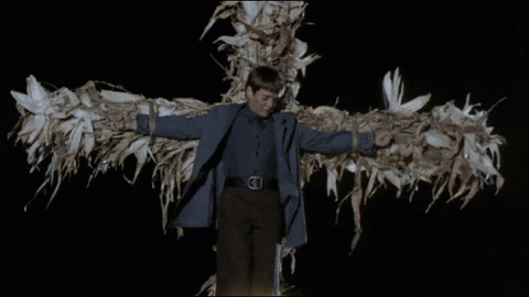 Stephen King GIF
