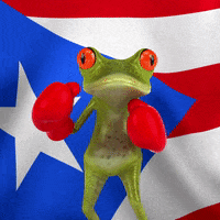 Puerto Rico Pride GIF