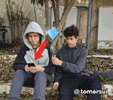 Magnifying Red Arrow GIF