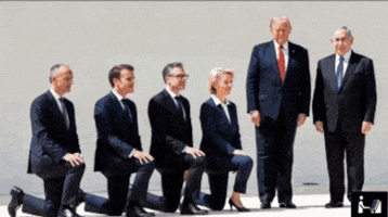 European Union Trump GIF