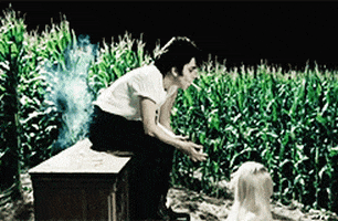 lady gaga GIF