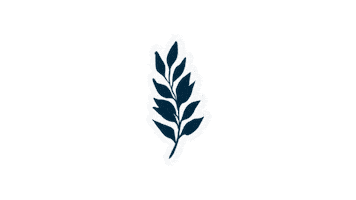 Decor Element Sticker